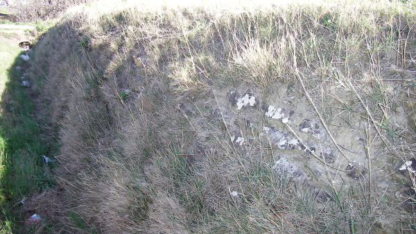 Fig. 15. Blocs calcaires du hérisson près du pont de l’Hoste.